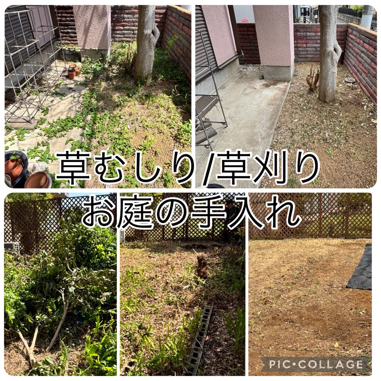 草刈り・草むしり・庭の手入れ